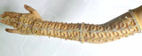 Elegant Hand Chain Bracelet (Long)